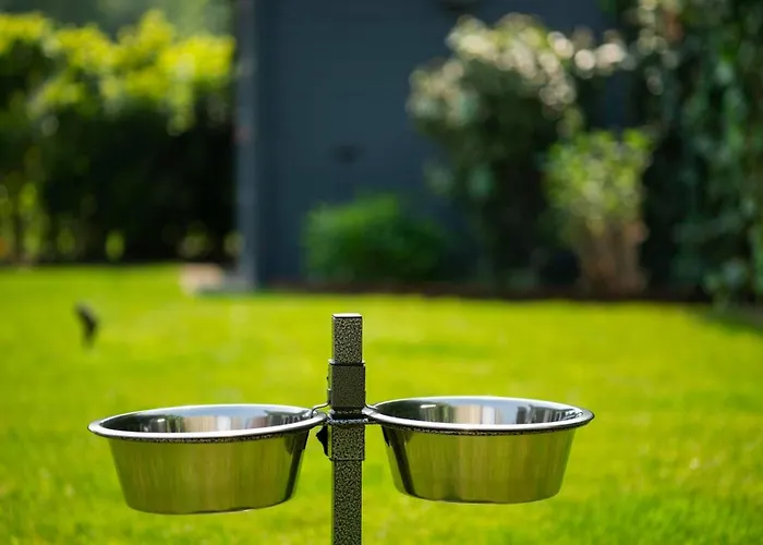 Toekomst 23 - - De Strandloper Not Intended For Company Or Work-related アウドルプ